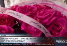 Цветы учителю — знак уважения или лишние расходы?