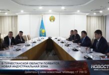В Туркестанской области появится новая индустриальная зона