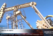 Охота за запасами нефти начнется в Казахстане