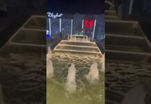 Новый фонтан преобразил территорию железнодорожного вокзала Шымкента
