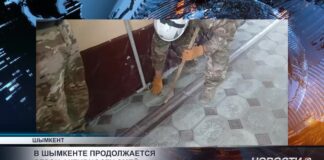 В Шымкенте продолжается сезон активности змей
