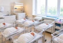 В день выборов Құрылтая в Шымкенте родился 51 ребёнок