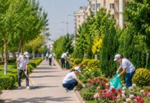 Лучшие дворы и улицы Шымкента получат денежные премии