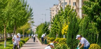 Лучшие дворы и улицы Шымкента получат денежные премии