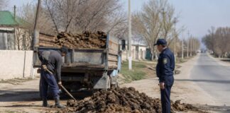 Три тонны навоза оставили на обочине жители Ордабасинского района