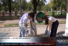 В Шымкенте экологическую культуру формируют через субботники