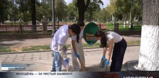 В Шымкенте экологическую культуру формируют через субботники
