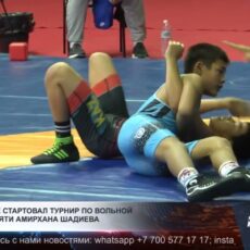 В Шымкенте проходит международный турнир по вольной борьбе