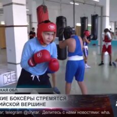 Кентауские боксёры стремятся к олимпийской вершине