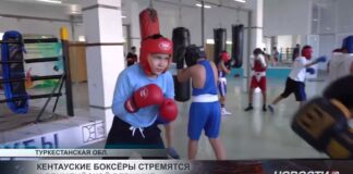 Кентауские боксёры стремятся к олимпийской вершине