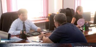 Кому нужно сдавать декларацию и что в ней указывать