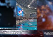 17 медалей завоевали пловцы из Шымкента в Душанбе
