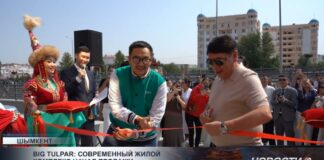 В Шымкенте представили жилой комплекс по принципу «город в городе»