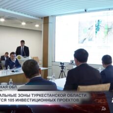 Индустриальные зоны Туркестанской области: реализуется 105 инвестиционных проектов