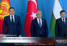 Туркестан стал площадкой для борьбы с цифровой наркопреступностью