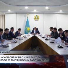 В Туркестанской области создали 80 тысяч рабочих мест с начала года