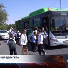 «Невидимые» пассажиры: автобусы полные, но статистика этого не видит