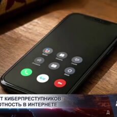 В Шымкенте за восемь месяцев зарегистрировали 363 киберпреступления