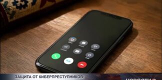 В Шымкенте за восемь месяцев зарегистрировали 363 киберпреступления