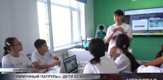 «Иммунный патруль»: школьники осваивают полезную информацию через игру