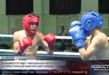 Лучших молодых боксёров Казахстана выбирают в Шымкенте
