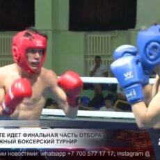 Лучших молодых боксёров Казахстана выбирают в Шымкенте