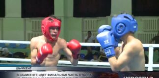 Лучших молодых боксёров Казахстана выбирают в Шымкенте