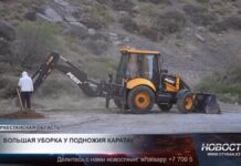 У подножия Каратау высадили 100 новых деревьев