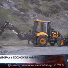 У подножия Каратау высадили 100 новых деревьев