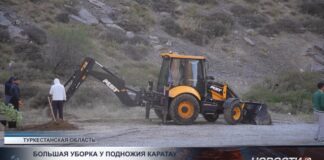 У подножия Каратау высадили 100 новых деревьев