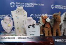 Лучшие бизнес-проекты Шымкента получат шанс на грант