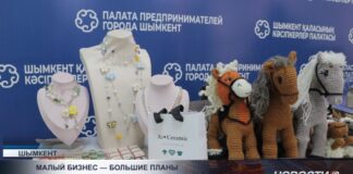 Лучшие бизнес-проекты Шымкента получат шанс на грант