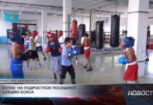 Юные боксёры Кентау идут к большим победам