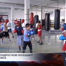 Юные боксёры Кентау идут к большим победам