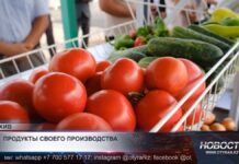 В Туркестанской области усилили контроль за ценами на продукты