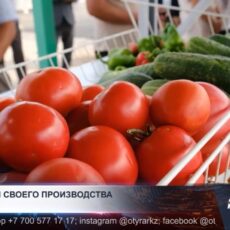 В Туркестанской области усилили контроль за ценами на продукты