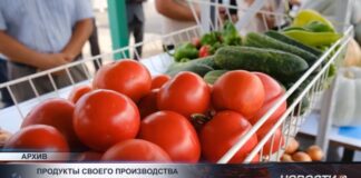 В Туркестанской области усилили контроль за ценами на продукты