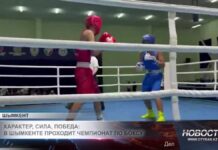 В Шымкенте определяют сильнейших молодых боксёров