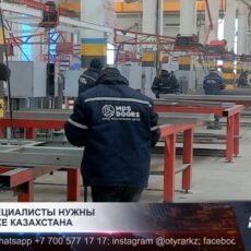 Какие профессии нужны казахстанской экономике?