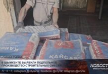 В Шымкенте выявили подпольное производство строительных смесей