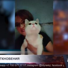 Главный герой громкой истории в Шымкенте снова живёт на улице