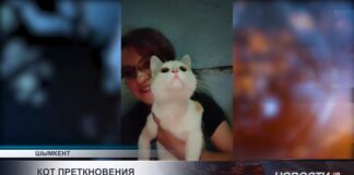Главный герой громкой истории в Шымкенте снова живёт на улице