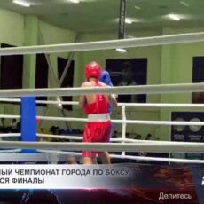 Путь к чемпионату Казахстана начинается на ринге Шымкента