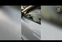 В Туркестанской области водителя с поддельными номерами арестовали на трое суток
