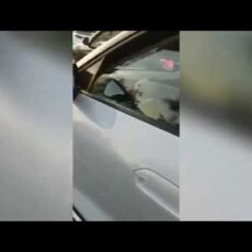 В Туркестанской области водителя с поддельными номерами арестовали на трое суток
