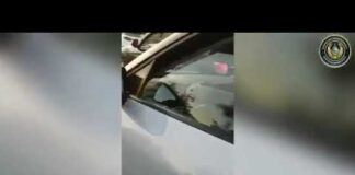 В Туркестанской области водителя с поддельными номерами арестовали на трое суток