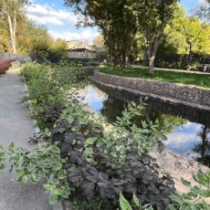 Река, которую помнит народ