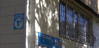 В Шымкенте расследуют обстоятельства гибели детей в микрорайоне «Восток»