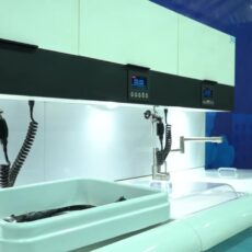 Более 70 производителей представили свою продукцию на ярмарке в Шымкенте