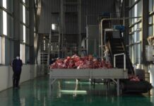 В Темирлане начали перерабатывать кости животных в промышленную продукцию